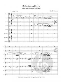 Diffusion and Light von Ladd McIntosh 