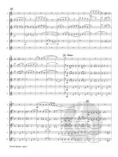 Eternal Springs von Lewis A. Kocher 