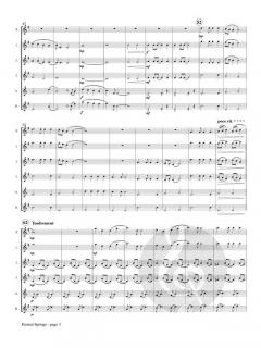 Eternal Springs von Lewis A. Kocher 