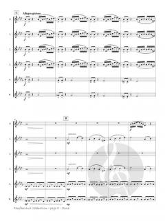 Fanfare and Celebration von Phyllis Avidan Louke 