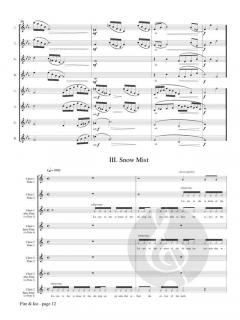 Fire and Ice von Deborah J. Anderson 