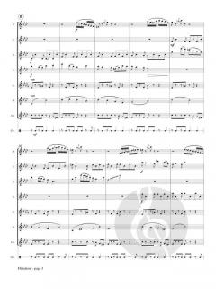 Flirtations von Phyllis Avidan Louke 