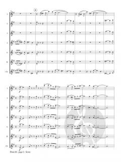 Flute 66 von Jonathan Cohen 