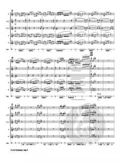 Flute Fandango von Sonny Burnette 