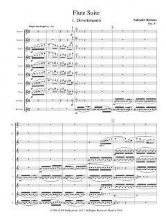 Flute Suite, Opus 41 von Jan Brandts Buys 