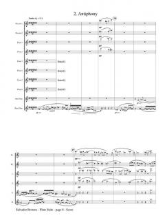 Flute Suite, Opus 41 von Jan Brandts Buys 