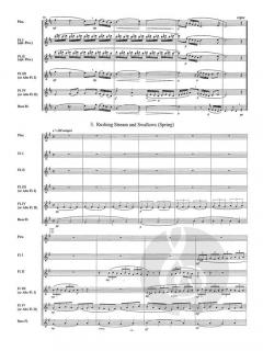 4 Seasons in Maine von Harrison Roper 