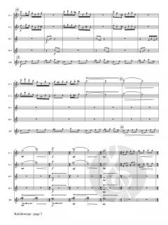 Kaleidoscope von Andrew Pearce 