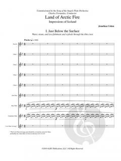 Land of Arctic Fire von Jonathan Cohen 