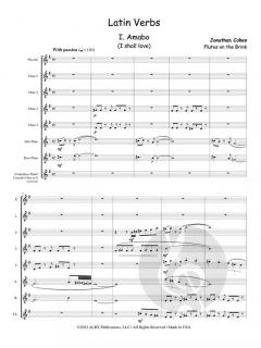 Latin Verbs von Jonathan Cohen 