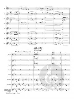 Latin Verbs von Jonathan Cohen 