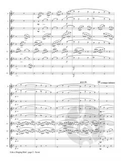 Like a Singing Bird von Lodewyk Mortelmans 