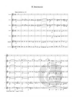 Little Suite, Opus 1 von Carl Nielsen 