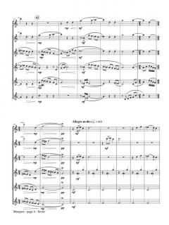 Masques von Anne McGinty 