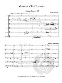 Memories of East Tennessee (in the Early Forties) von Austin Alan Scott 