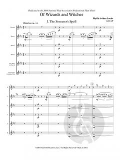 Of Wizards and Witches von Phyllis Avidan Louke 