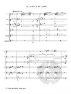 Of Wizards and Witches von Phyllis Avidan Louke 