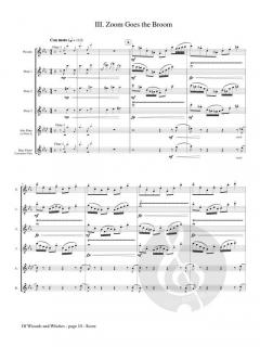 Of Wizards and Witches von Phyllis Avidan Louke 