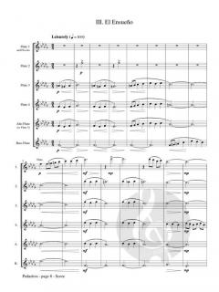 Pedazitos (Variations without a Theme) von Nancy W. Wood 