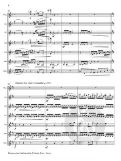 Pictures at an Exhibition (The 5 Minute Tour) von Modest Petrowitsch Mussorgski 