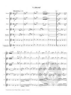 Postcards from Pikes Peak von Phyllis Avidan Louke 