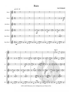 Rain von Ann Lindquist 