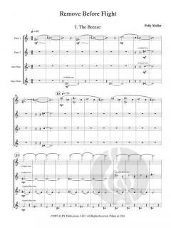 Remove Before Flight von Polly Moller 