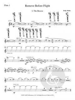 Remove Before Flight von Polly Moller 