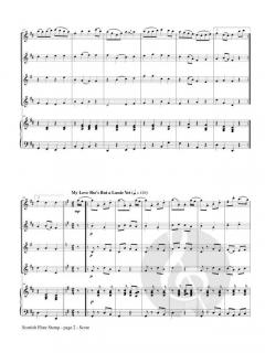 Scottish Flute Stomp 