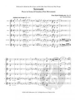 Serenade op. 48 - First Movement von Peter Iljitsch Tschaikowsky 
