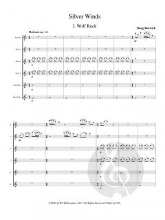 Silver Winds von Douglas Borwick 