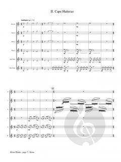 Silver Winds von Douglas Borwick 