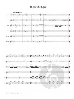 Silver Winds von Douglas Borwick 