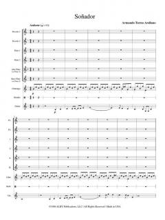 Soñador von Armando Torres Arellano 