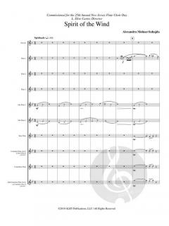 Spirit of the Wind von Alexandra Molnar-Suhajda 