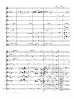 Spirit of the Wind von Alexandra Molnar-Suhajda 