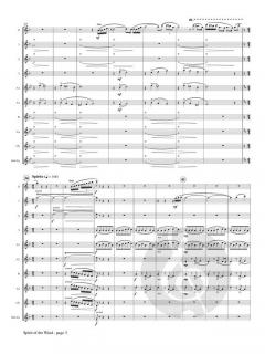 Spirit of the Wind von Alexandra Molnar-Suhajda 