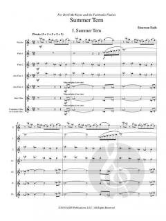 Summer Tern von Emerson Eads 