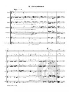 Summer Tern von Emerson Eads 