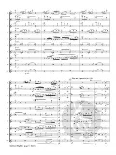 Sunburst Flights von Stephen Barr 