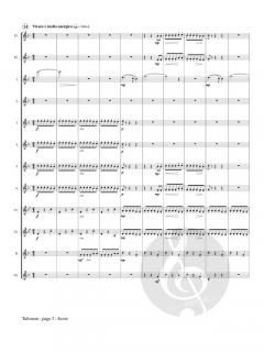 Talisman von Alexandra Molnar-Suhajda 