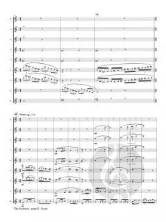 The Fountain von June Kirlin 