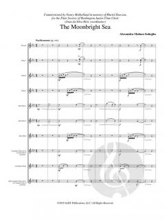 The Moonbright Sea von Alexandra Molnar-Suhajda 