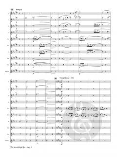 The Moonbright Sea von Alexandra Molnar-Suhajda 