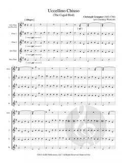 Uccellino Chiuso (The Caged Bird) von Christoph Graupner 