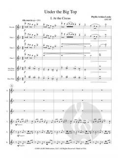 Under the Big Top von Phyllis Avidan Louke 