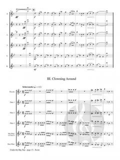 Under the Big Top von Phyllis Avidan Louke 