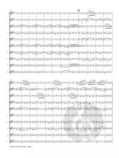 Valse from 'Swan Lake' von Peter Iljitsch Tschaikowsky 