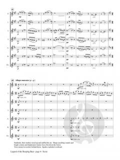 Legend of the Sleeping Bear von Catherine McMichael 