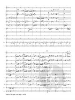 Dance of the Sagin' Cajun von David F. Wilborn 